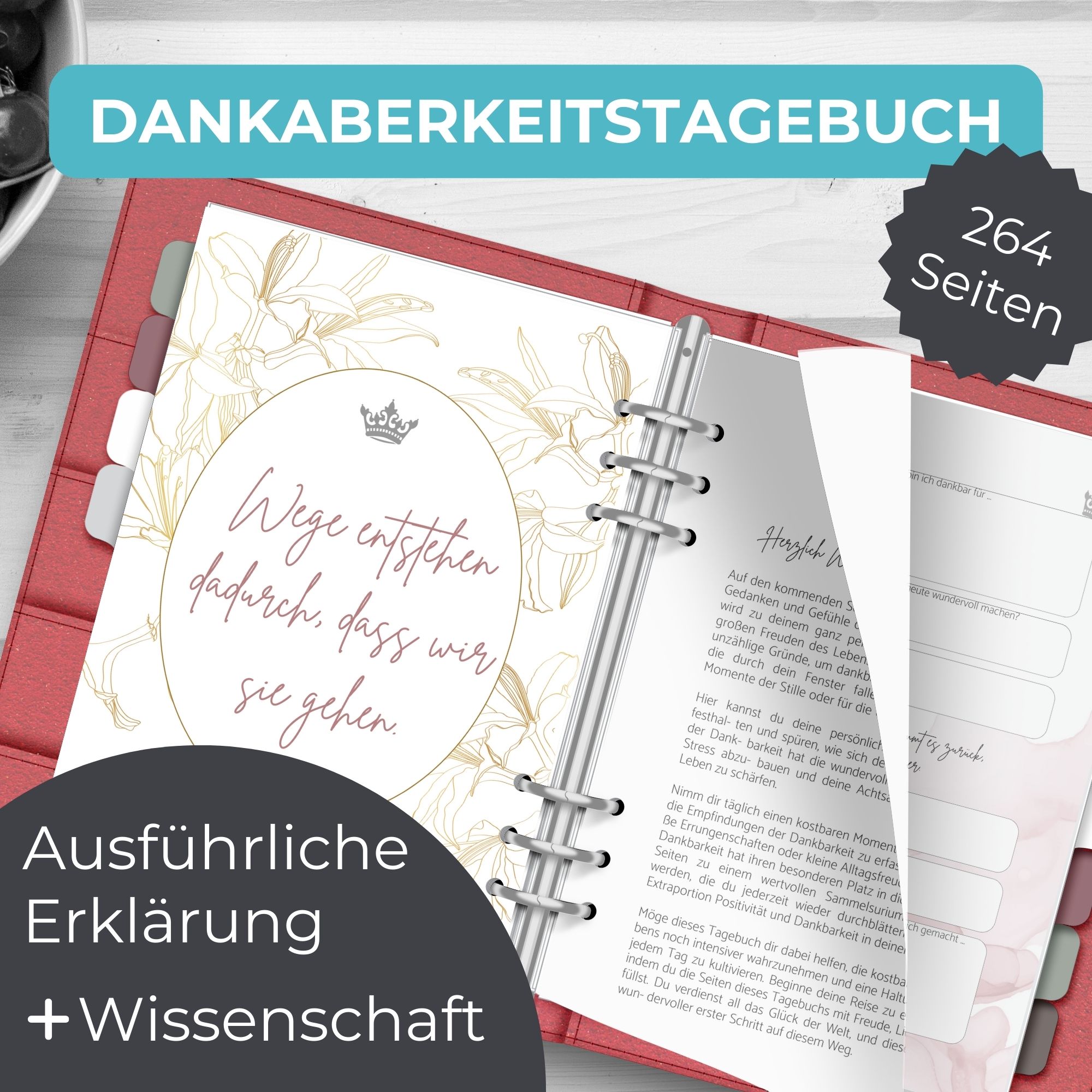 Das Dankbarkeitstagebuch für selbstbestimmte Frauen, welches in deinen Terminplaner A5 passt und mit dem Du zu jedem Zeitpunkt starten kannst. Entdecke in 24 Wochen die Kraft der Achtsamkeit mit unserem exklusiven Tagebuch! Finde Dankbarkeit in den kleinen Dingen des Lebens, nimm dir Zeit für dich und etabliere neue Gewohnheiten.